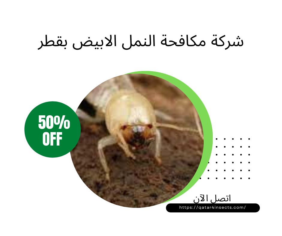 شركة مكافحة النمل الابيض 30306039 خصم 50% اتصل الآن