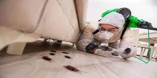 شركات رش الحشرات قطر 30306039 خصم 50% اتصل الآن